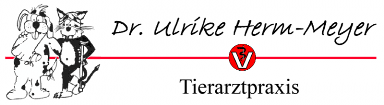 Dr. Ulrike Herm-Meyer